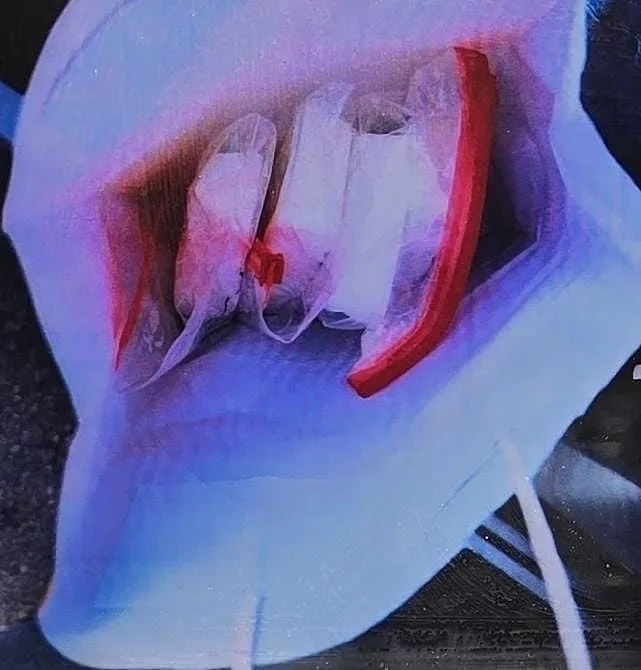 הסמים שנתפסו אצל החשודים