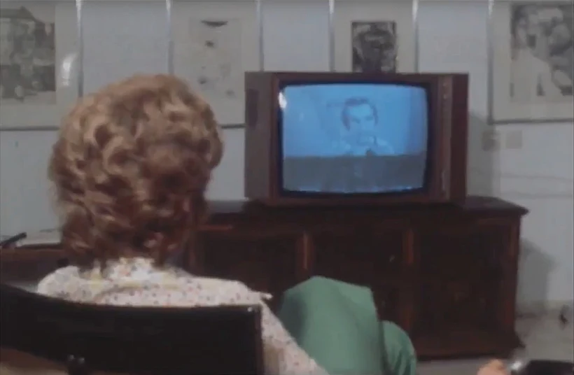 "תחתונים וגופיות"