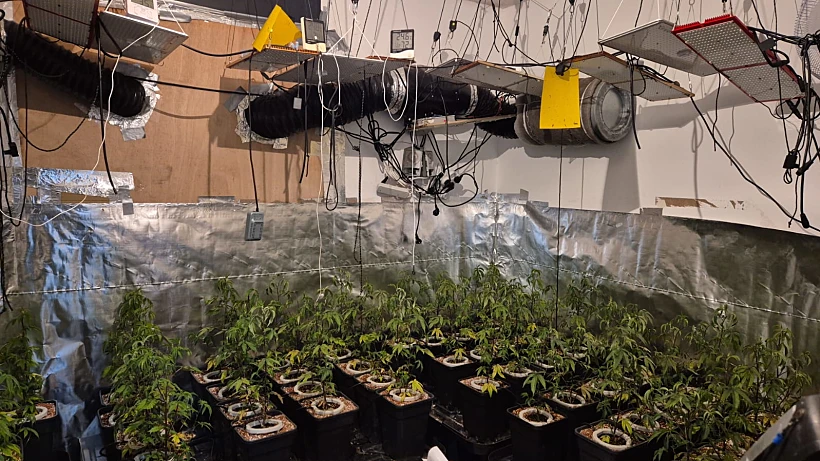 מעבדת הסמים שאותרה בביתה של המקורבת לשרה מאי גולן