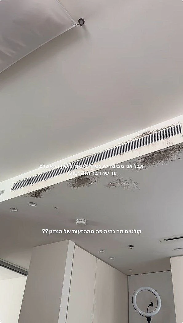 מתוך הסטורי של טליה עובדיה