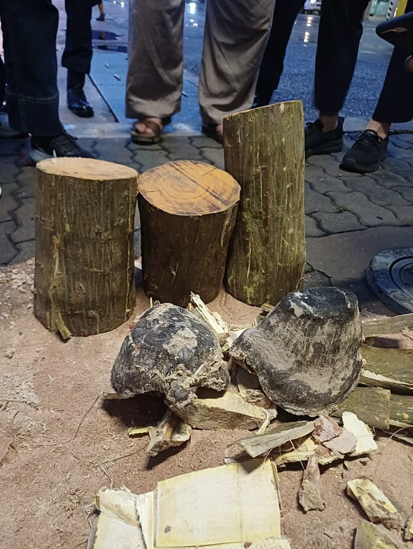 קרני הקרנף שנתפסו