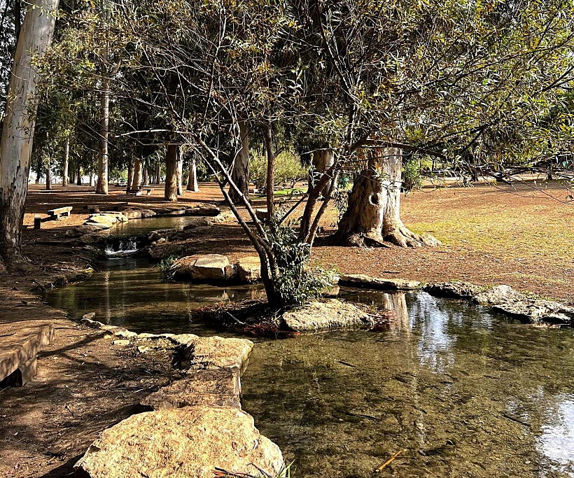 בריכות שכשוך בתל אפק