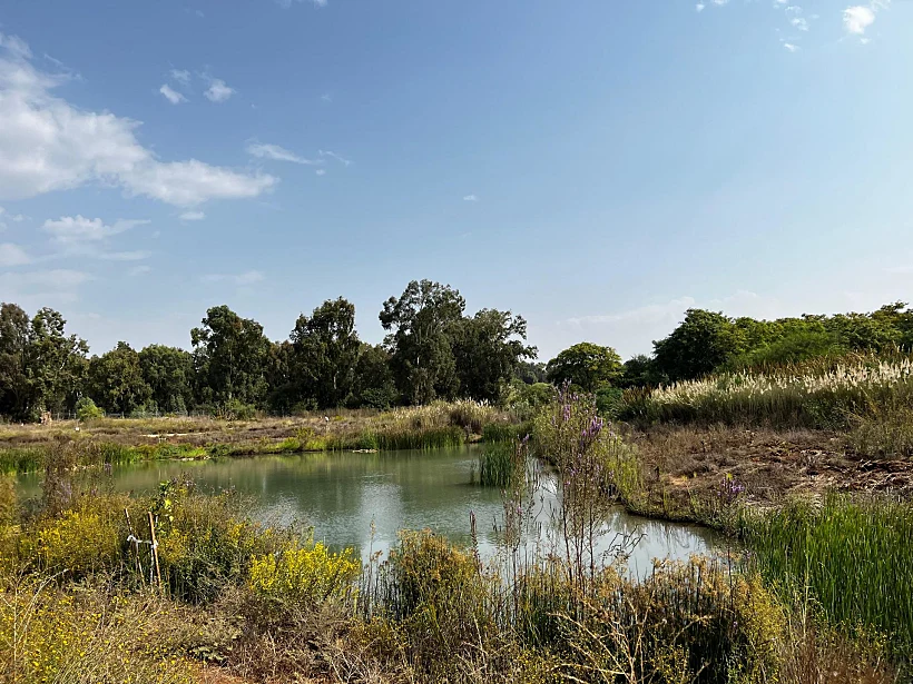 מסלול תל אפק