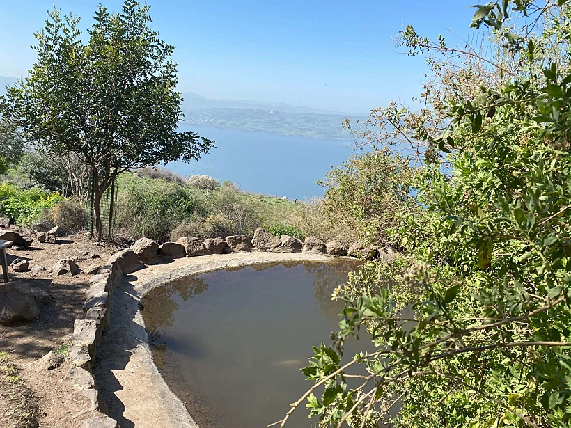 עין שוקו רמת הגולן