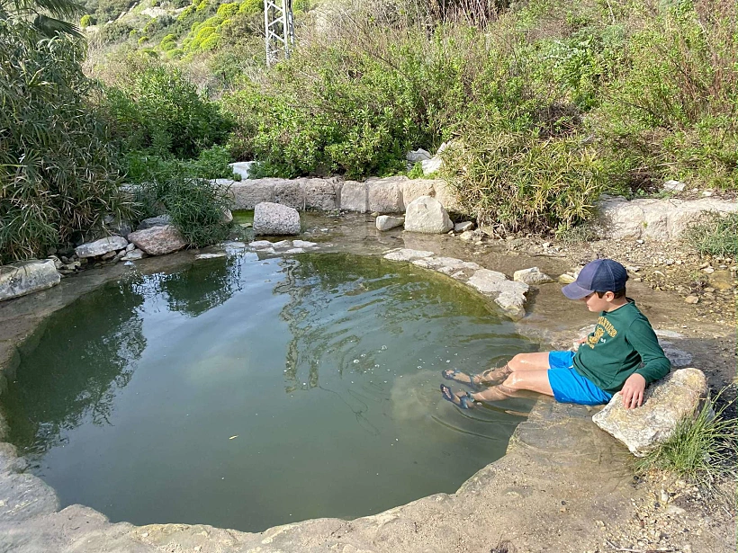 עין שיח חיפה