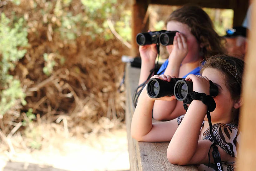 הדרכת צפרות וטיבוע בפארק הצפרות באילת