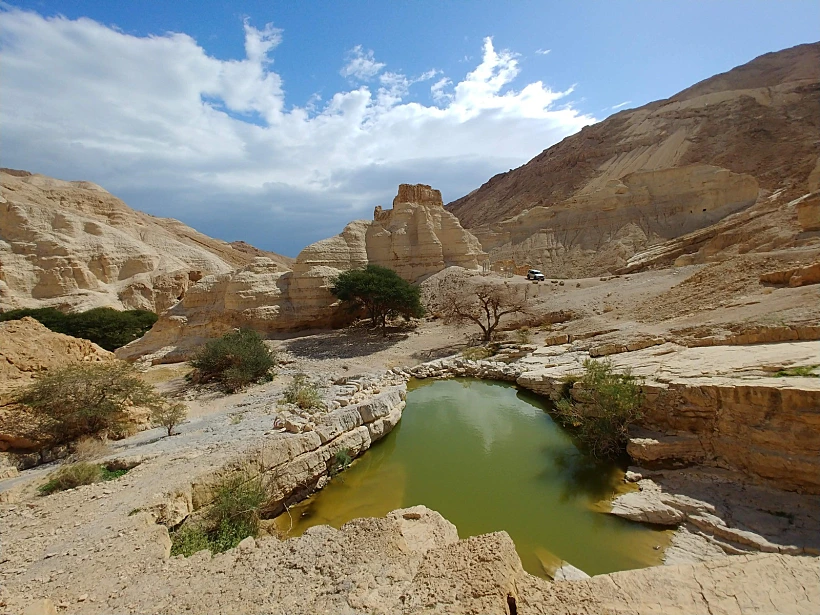 משחק הנווטים "אוצר התמר"