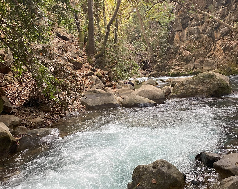 מסלול ההליכה לצד הבניאס
