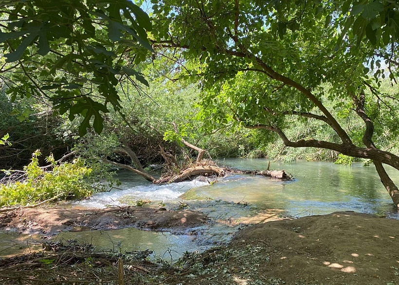נבי יהודה - נחל חרמון