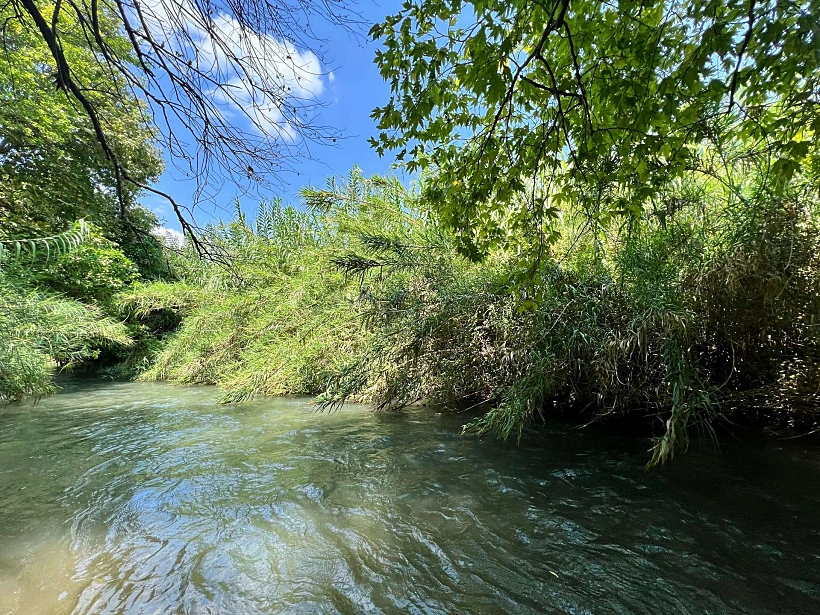 הבניאס, או בשמו הרשמי נחל חרמון