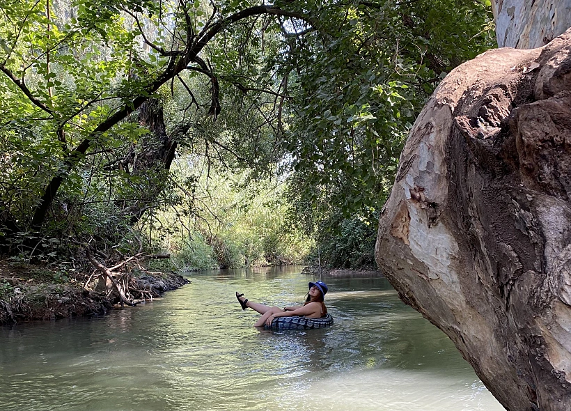 אבובים בחניון האקליפטוס