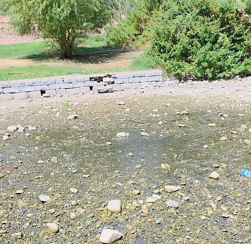 עין נון ריק