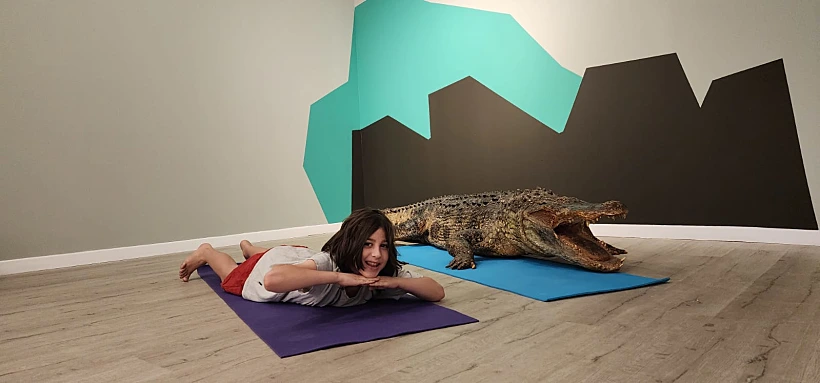 תערוכת "יוגה וחיות אחרות