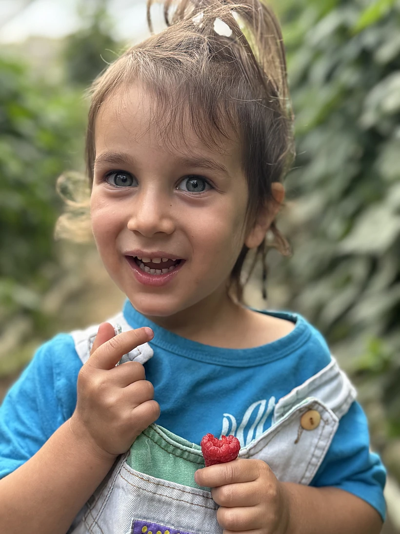 קטיף במשק פורר