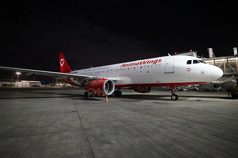 מטוס של AnimaWings בנמל התעופה בן גוריון