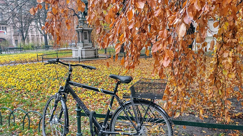 שלכת בפארק פלנטי בקרקוב
