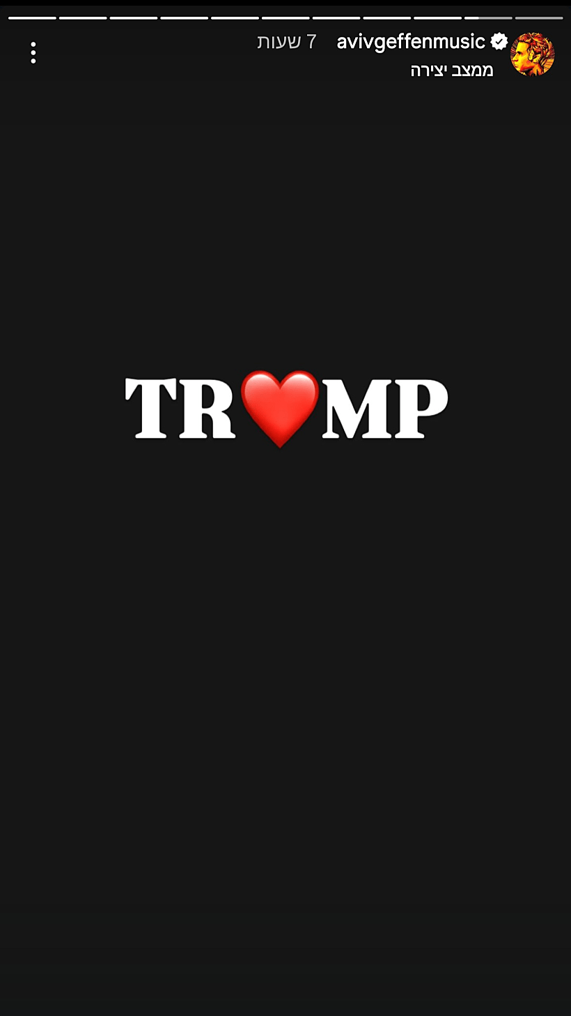 מתוך הסטורי של אביב גפן