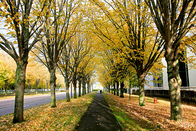 Canaldumidi טולוז בסתיו