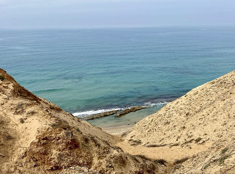 שמורת חוף השרון