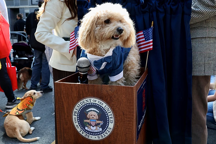 Annual Tompkins Square Halloween Dog Parade In New York