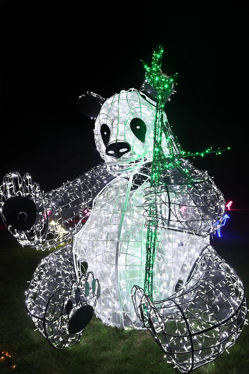 דוב פנדה מתוך הפסטיבל "LUMAGICA"