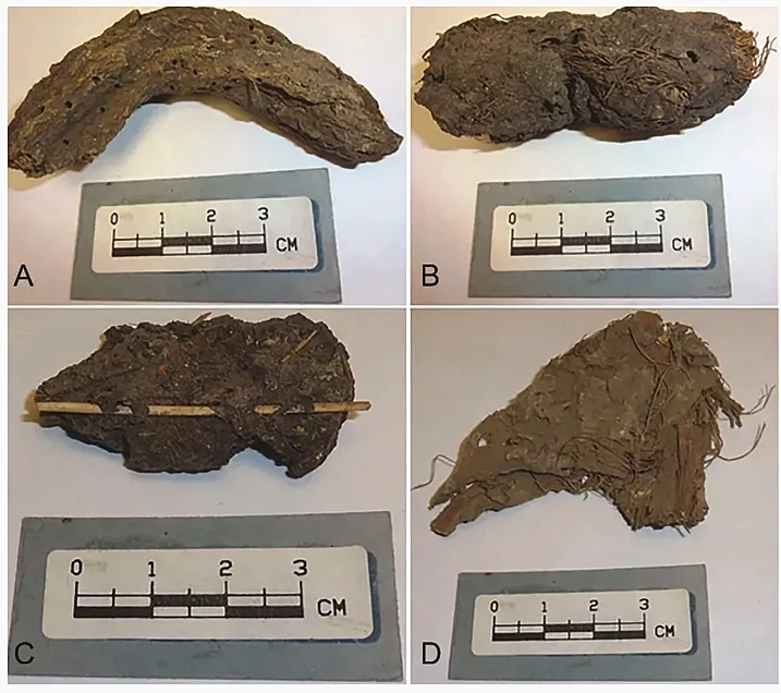 דגימות צואה שנלקחו מ"מערכת הילדים המתים"
