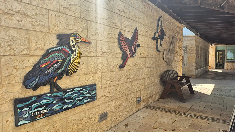 תערוכת מוזאיקה (פסיפסים) בגן לאומי ציפורי