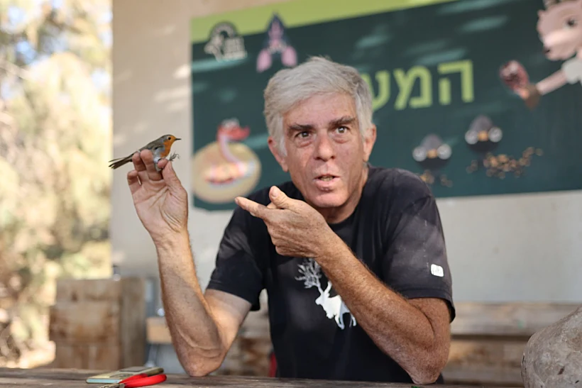 פעילות טיבוע ציפורים בשמורת עינות צוקים