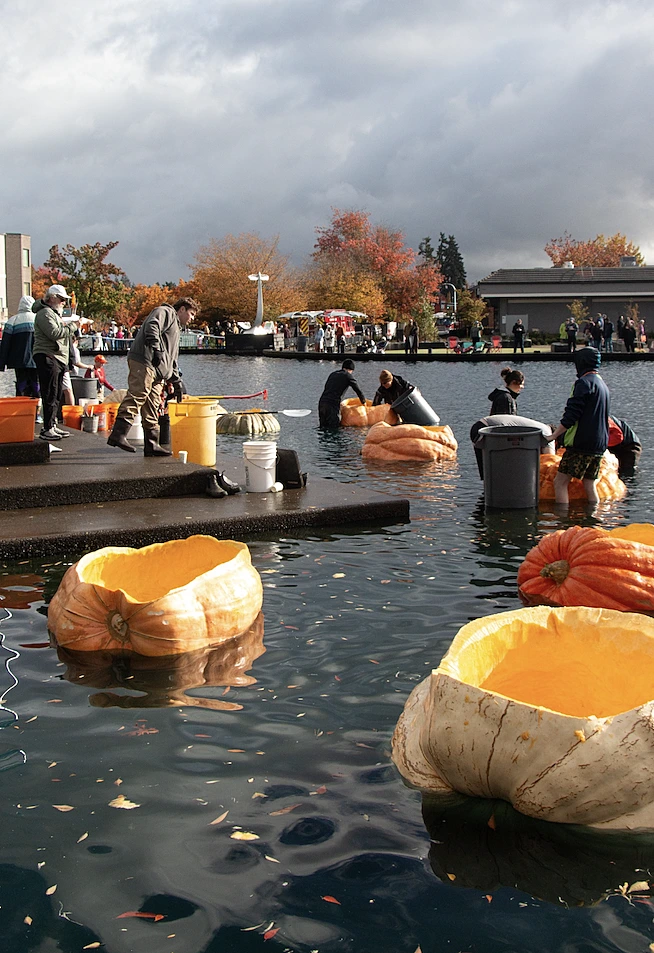 מרוץ הדלעת השנתי של אורגון