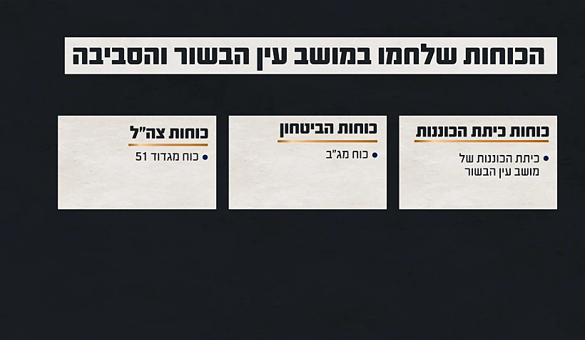 תחקיר הקרב בעין הבשור, הכוחות הלוחמים