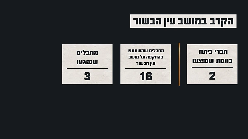 תחקיר הקרב בעין הבשור, נתוני הקרב