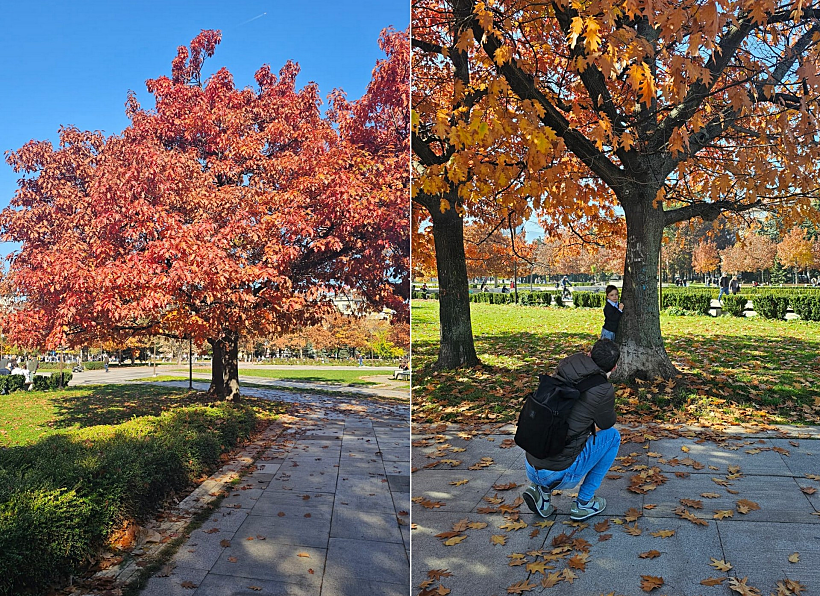 פארק NDK סופיה בשלכת