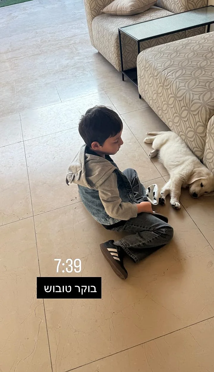 בנה של יוכי אפוליאון, תיאו