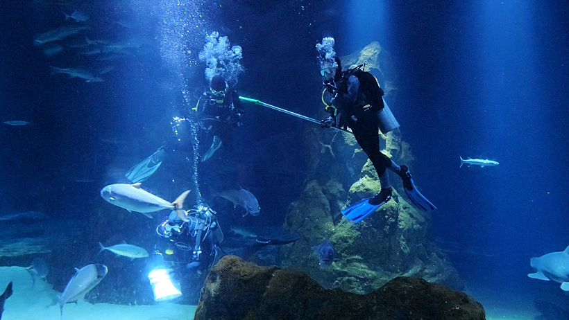 אקווריום ישראל