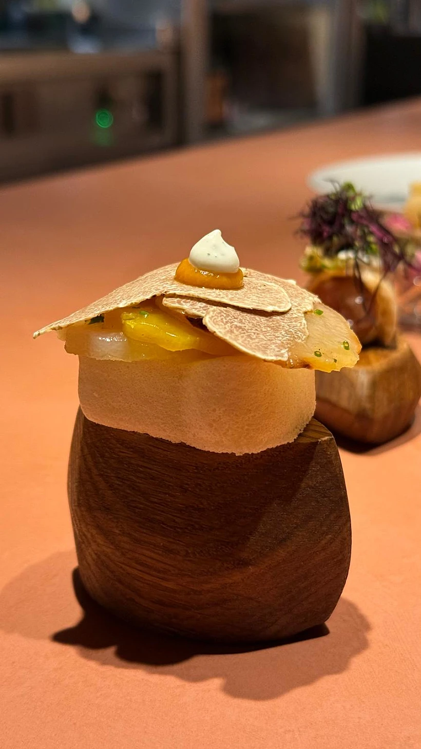 מושיק רוט, אנד מושיק,