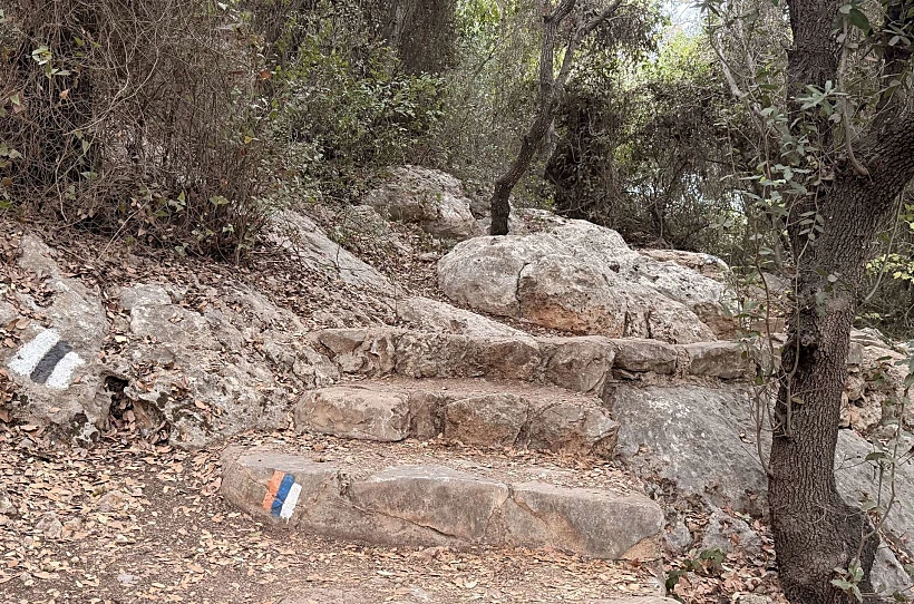 העלייה למערת אצבע