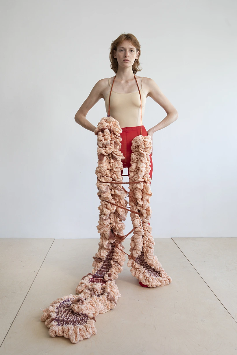 "איברים פנימיים"