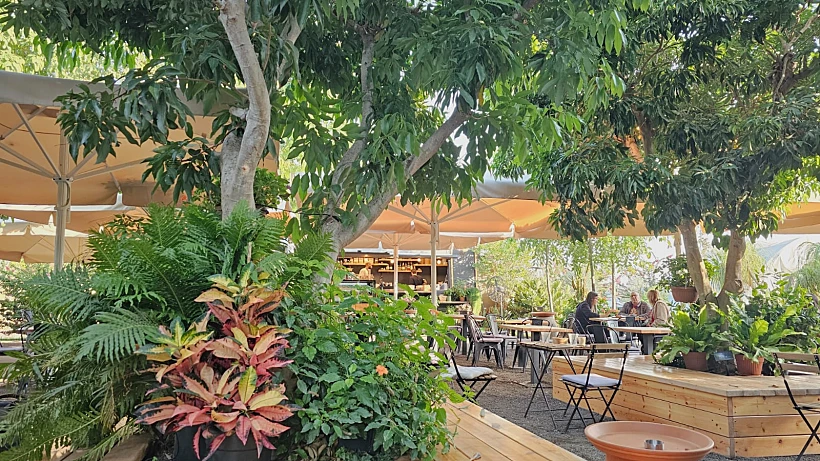 עגלת קפה "גן עד