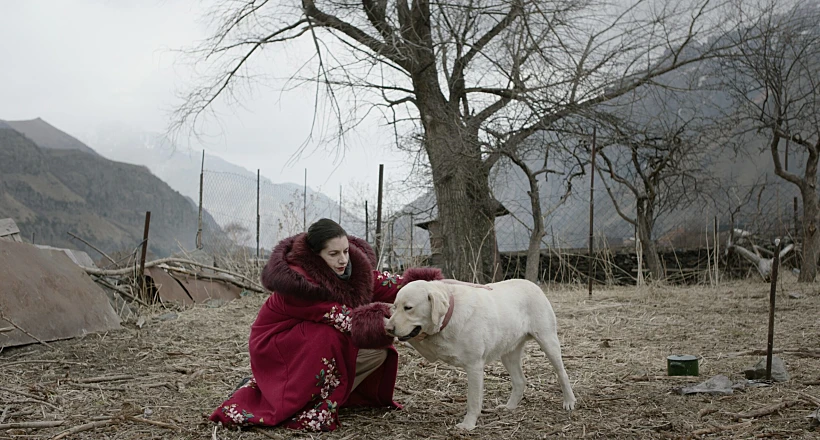 מתוך "נאנדאורי"