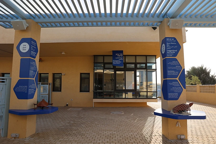 המרכז הארצי להצלת צבי הים