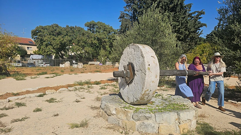בית הבד במוזיאון כפר סבא – "הגן הארכיאולוגי"