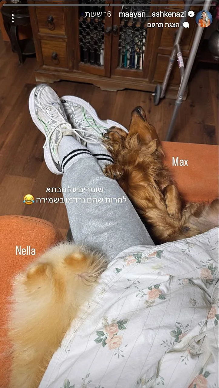 מתוך הסטורי של מעיין אשכנזי