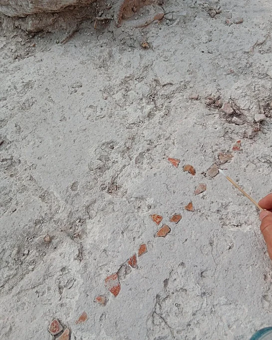 משחק הלוח שנמצא בגואטמלה