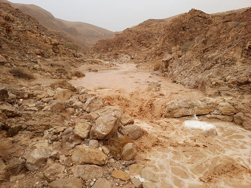 נחל צאלים עליון מלא במים