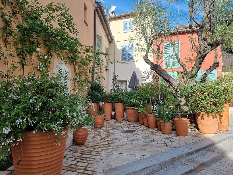 העיר העתיקה של סן טרופה