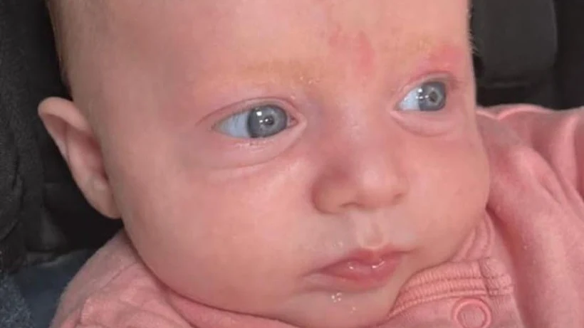 ליה ציפורה גולובנציץ