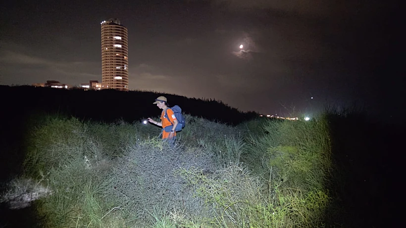 החיפושים באשקלון