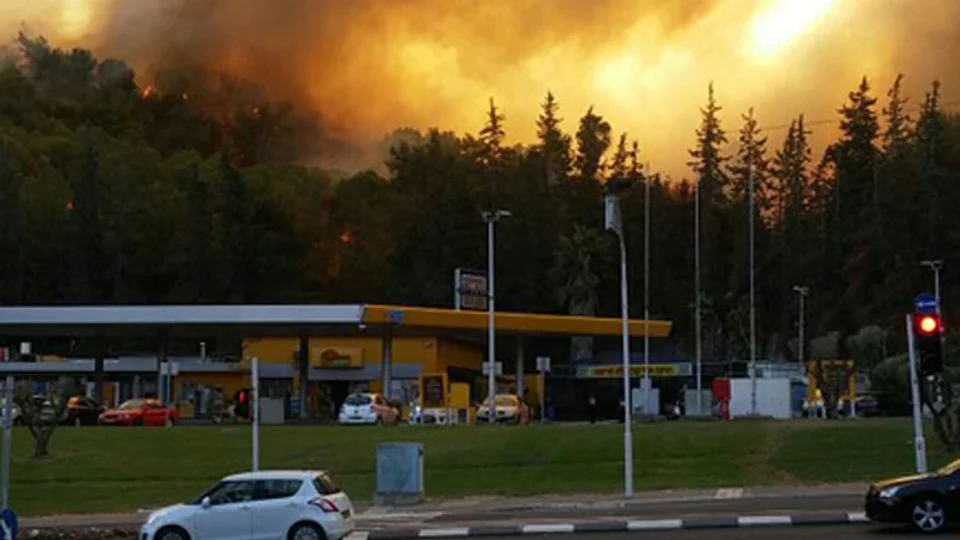 השריפה בחיפה