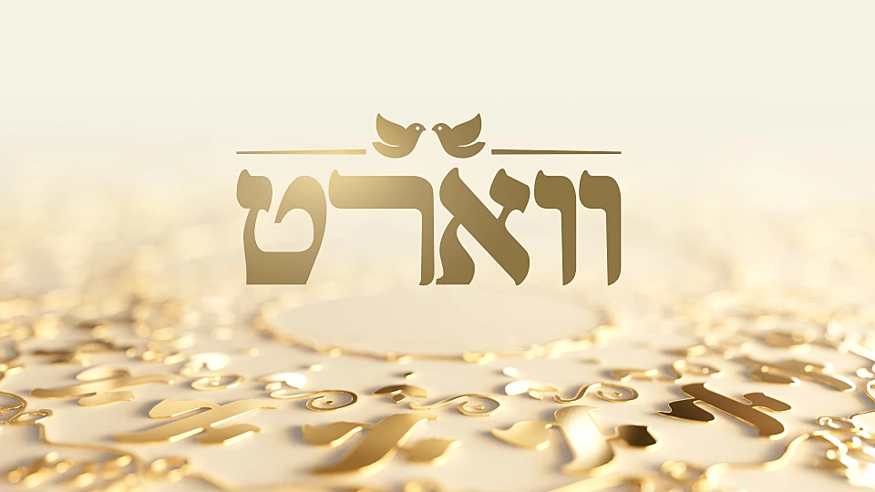 ווארט