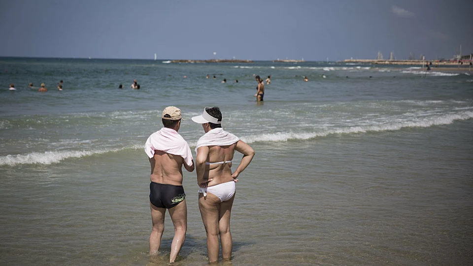 שרב